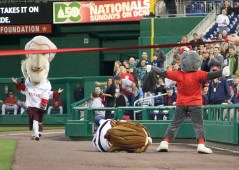 That Cat tackles Abe Lincoln, photo by Tom Bridge