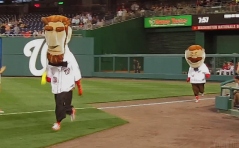 Abe Lincoln and Teddy Roosevelt square off in the Nationals presidents race