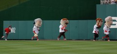 Panther "That Cat" chases the Washington Nationals racing presidents