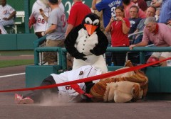 Rally Penguin takes down Abe Lincoln - Nationals Presidents Race