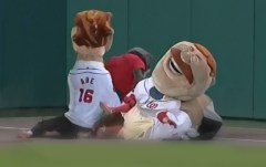 Washington Nationals Racing Presidents are attacked by That Cat
