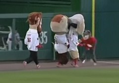 Washington Nationals Racing Presidents are attacked by That Cat