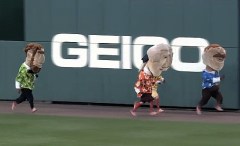 Washington Nationals presidents race in Hawaiian Shirts Washington Nationals presidents race in Hawaiian Shirts