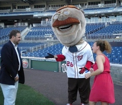 Nationals Park Marriage Proposal - Teddy Roosevelt hands over the bride-to-be