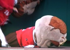 Jayson Werth interferes with the Nationals presidents race
