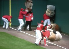 Jayson Werth interferes with the Nationals presidents race