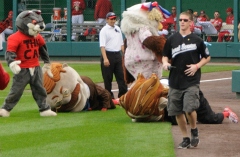 That Cat takes down Teddy Roosevelt in the Washington Nationals Presidents race