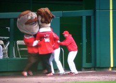 Washington Nationals Bullpen Presidents Race Interference