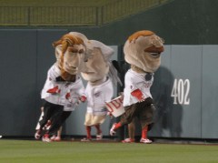 Presidents race with Natitude