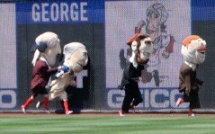 Nationals Presidents Race Thomas Jefferson Cheats