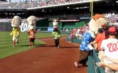Washington Nationals Presidents Race Teddy Distracted by popsicles