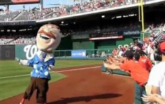 Washington Nationals Presidents Race Teddy Distracted by popsicles
