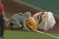 Nationals Presidents Race Shark Attacks Teddy