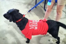 Pups in the Park say "Let Teddy Win"
