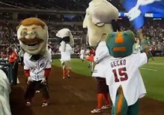 Teddy Roosevelt Loses