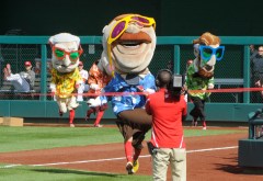Racing presidents Gangnam Style - Teddy Roosevelt Washington Nationals Racing presidents Gangnam Style - Teddy Roosevelt Washington Nationals