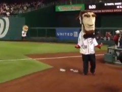 Earth Day presidents race Abe litters Teddy Roosevelt cleans up