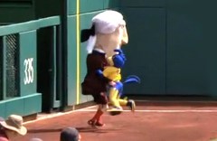 University of Delaware Mascot YoUDee tackles Nationals Park racing presidents
