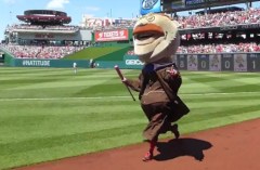 Nationals Presidents Race Teddy Wins First Race 2013