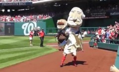 Nationals Presidents Race Teddy Wins George Drops