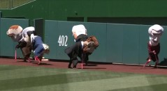 Nationals Teddy Roosevelt Wins Presidents Race Mothers Day