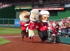 Racing Presidents Teddy Attacks George