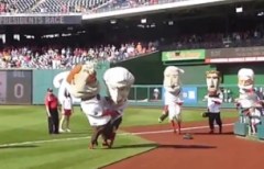 Racing presidents Tigers hate cinnamon