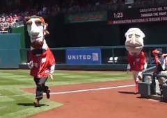 Abe Lincoln wins Nationals presidents race
