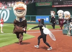 Cicada attacks Teddy Roosevelt Washington Nationals Park Presidents Race