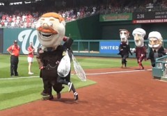 Cicada attacks Teddy Roosevelt Washington Nationals Park Presidents Race