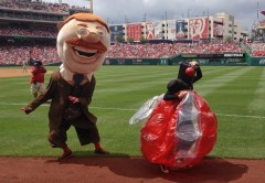 Cicada invades Nationals presidents race