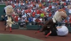 Washington Nationals presidents race demolition derby