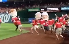 Grounds Crew Attacks Teddy