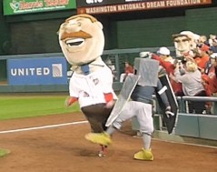 Washington Nationals presidents race rally pidgeon trips Teddy Roosevelt