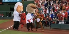 Kool Aid Man hands off to Bullee the Moose in the anchor leg of the Nationals presidents race