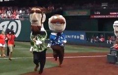 Abe Lincoln wins Nationals presidents race