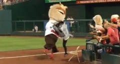 Nationals Racing President Teddy Roosevelt Sharknado