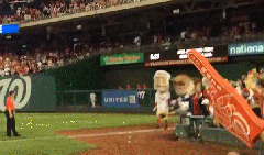 Presidents Race George Washington Cheats Teddy