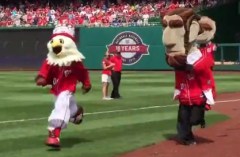 Screech wins Nationals Presidents Race