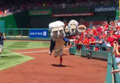 George Washington stumbles