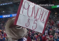 Teddy Roosevelt Thomas Jefferson Ponchos