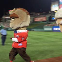 Video: Taft dives at Teddy, but it takes more than that to kill a Bull Moose