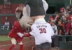 Nationals Presidents Race Rugby World Cup