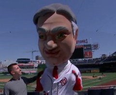 Herbert Hoover Washington Nationals New Racing President