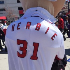 Washington Nationals New Racing President Herbert Hoover Herbie