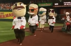 Washington Presidents Race National Sunglasses Day