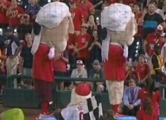 Nationals racing presidents Olympic Synchronized Diving race