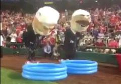 Nationals racing presidents Olympic Synchronized Diving