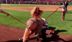 t-rex-chases-teddy-roosevelt-nationals-presidents-race