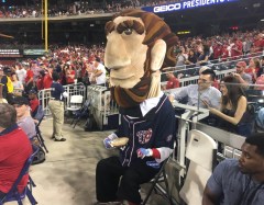 Abe Lincoln National blueberry pie day